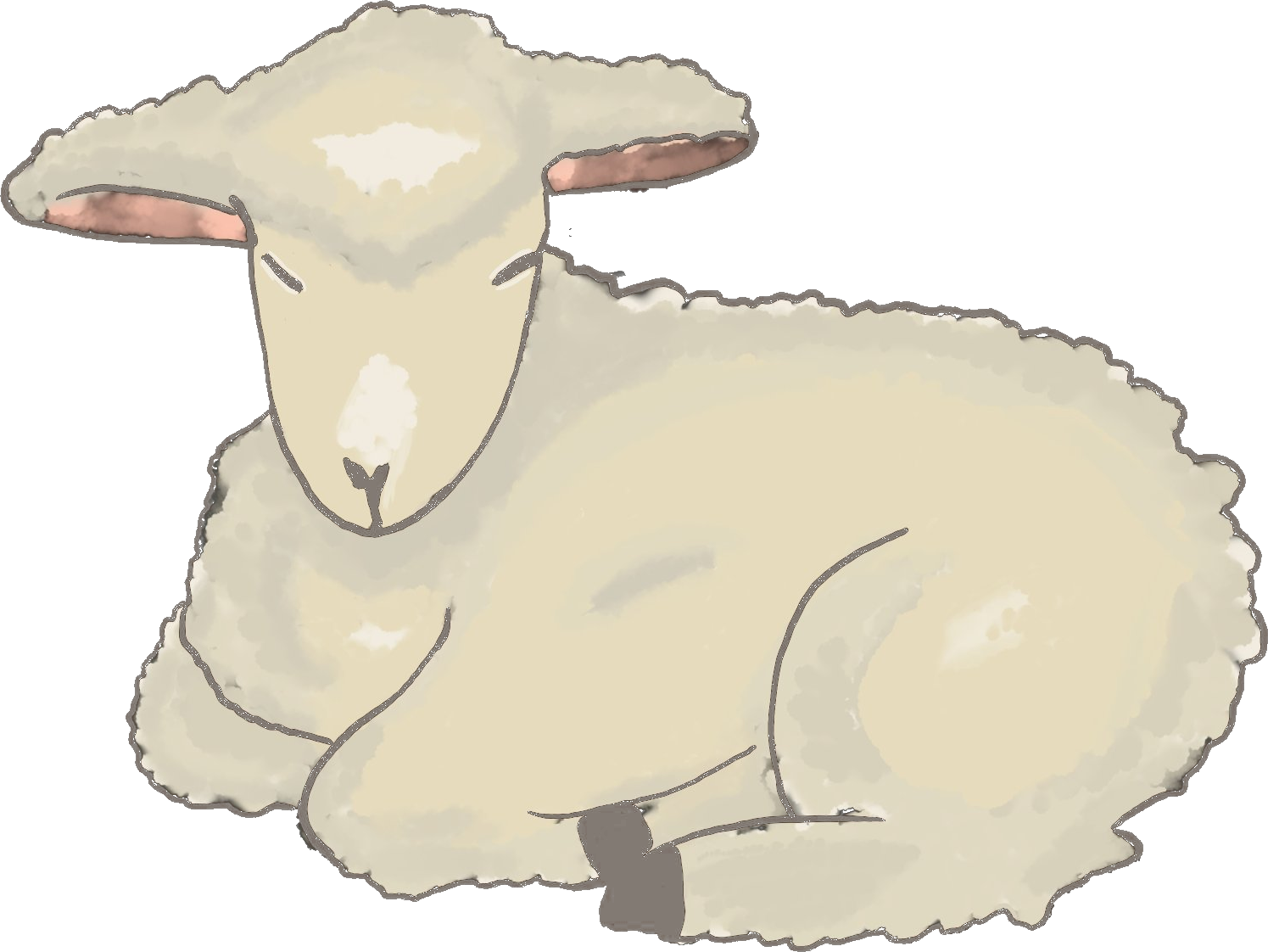 Resting Lamb